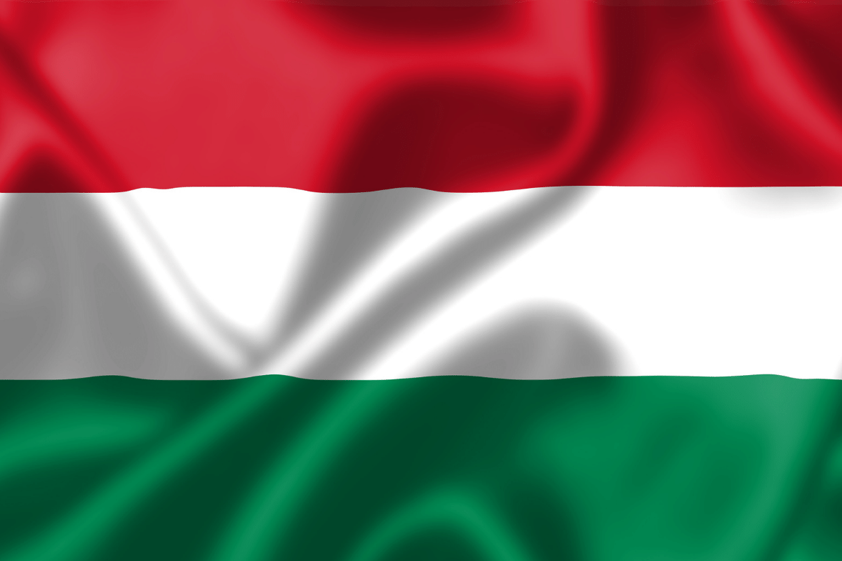 Transfer Makowskiego na Węgry